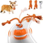 Pet Ball for Dogs, Dog Interactive Toys,Motion Activate Rolling Ball for Puppy/Small Dogs, Automatic Moving Toy,USB Rechargeable