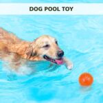 6 Pack 2.5” Squeaky Dog Toy Balls, Floating Dog Pool Balls, Spiky Dog Balls, Durable Interactive Fetch Toys for Puppy, Dog Chew Toys for Teething (2.5"", Small Dog), Set of 6 - Image 2