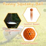 Dog Squeaky Balls Toys - 2 Pack Pet Chew Rubber Squeaker Toy,Interactive Training Fetch Ball for Small Medium Large Puppy - Image 2