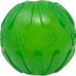 Treat Dispensing Chew Ball Tough Dog Toy Medium