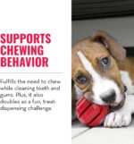 Natural Rubber Dental Chew Toy, for Large Dogs - Image 2